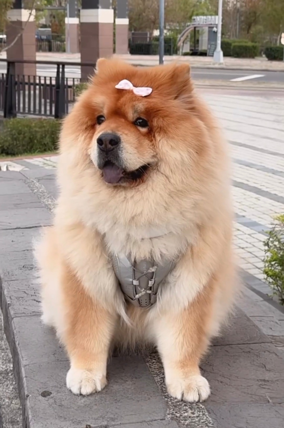 幸福肥