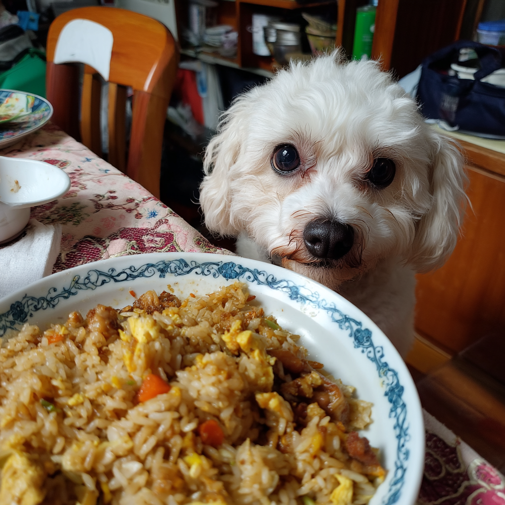晚餐是蛋炒飯。很香，濃濃的醬油香。