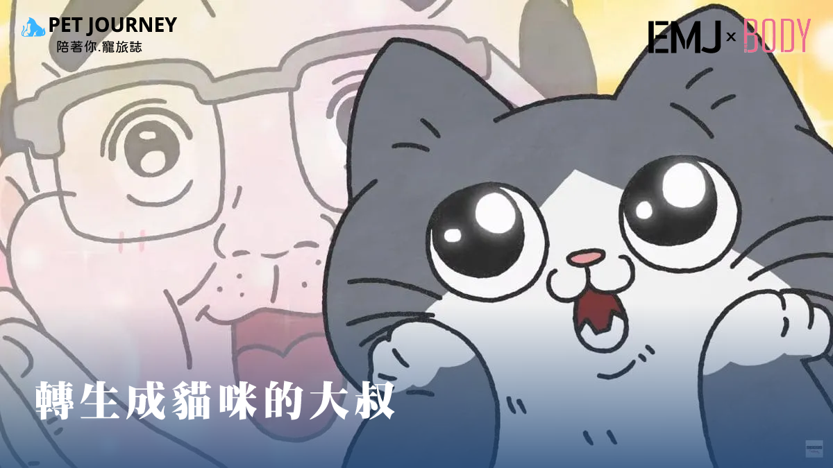 今天開工想必大家都很痛苦吧！（小編也是🥲）但為了家裡的毛孩們還是努力出門上班🐱🐶今天小編來推薦一部小作品，可以偷偷的上班補充一點能量！《轉生成貓咪的大叔一集約莫一分鐘多，忙裡偷閒可以來上一集！✨點我觀看：https://www.youtube.com/watch?v=_sKcXW6SpRQ✨🐈官方故事簡介🐈一個普通的上班族大叔，某天突然轉生了。無法說人話在路邊不知所措，就在此時