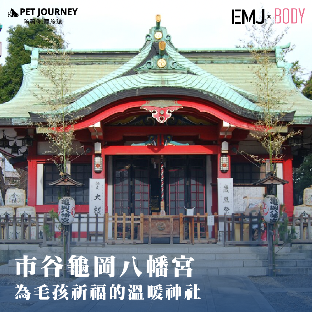 🌿位於東京都新宿區的市谷龜岡八幡宮，是一座擁有悠久歷史的神社，主要祭祀八幡大神。但與眾不同的是，這裡特別設有「ペットお守り（寵物御守）」，還能為毛孩舉行特別祈福儀式！無論是希望毛孩健康平安，或是為天使毛孩送上祝福，這裡都能讓人感受到寵物與人之間的深厚羈絆。大家有去過嗎？歡迎和我們分享哦🤩！📍 市谷龜岡八幡宮資訊🏮 地址：東京都新宿區市谷八幡町15🚇 交通：從JR市谷站步行約3分