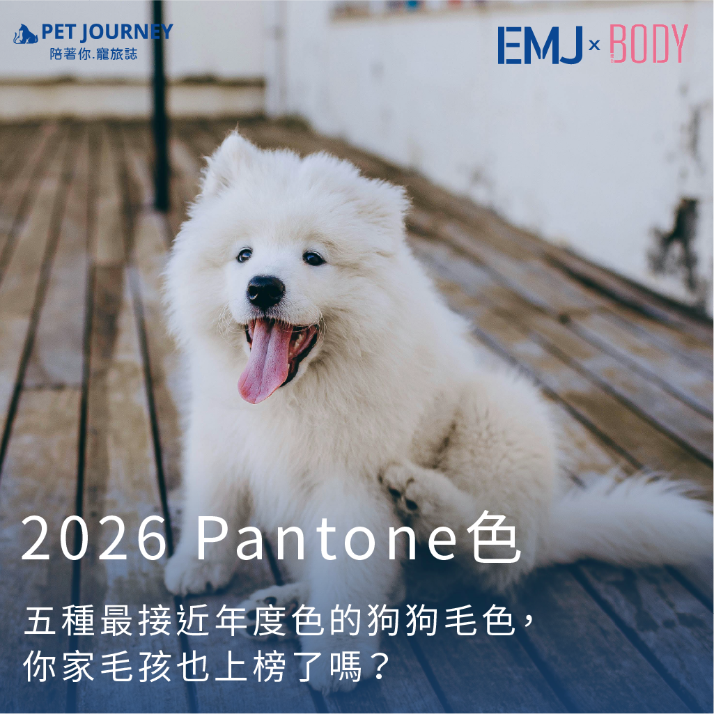 每到年底，全世界的設計、時尚、藝術與品牌圈都會一起關注一件事——Pantone 的 Color of the Year（年度代表色）更是一年流行趨勢與情緒氛圍的象徵，是最能代表該年度精神的色彩。來看看自己家的毛孩毛色有沒有上榜👉點我觀看：https://bodynews.com.tw/news/article/11042