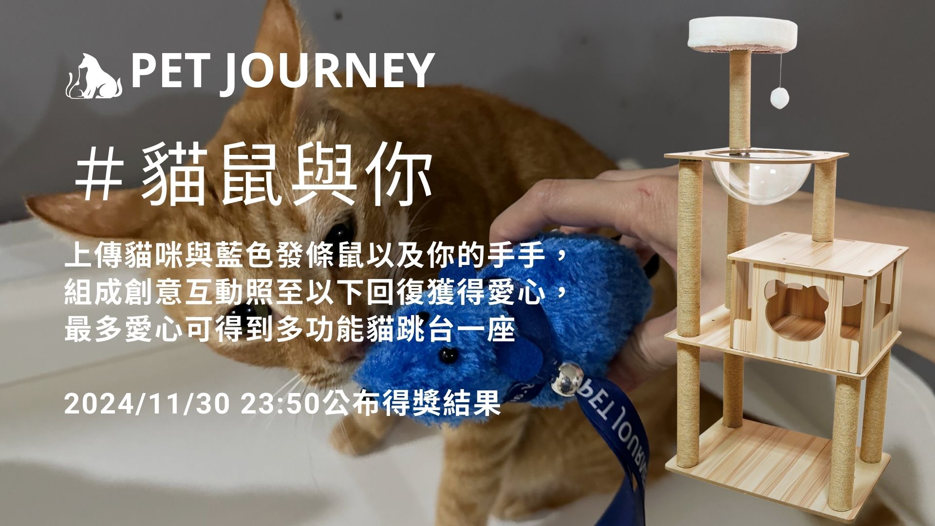 第一波線上互動活動 #貓鼠同萌