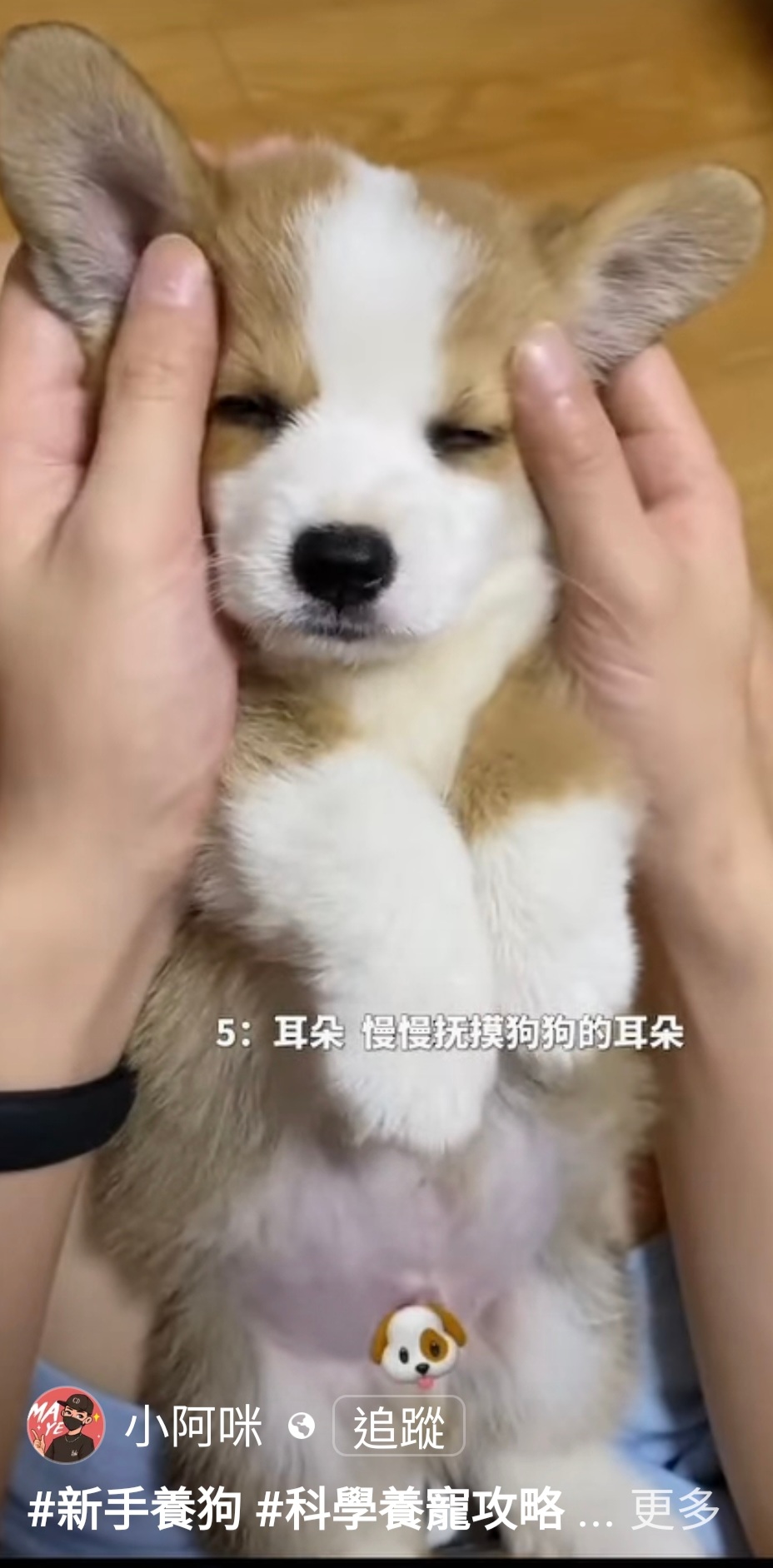 ―――――――