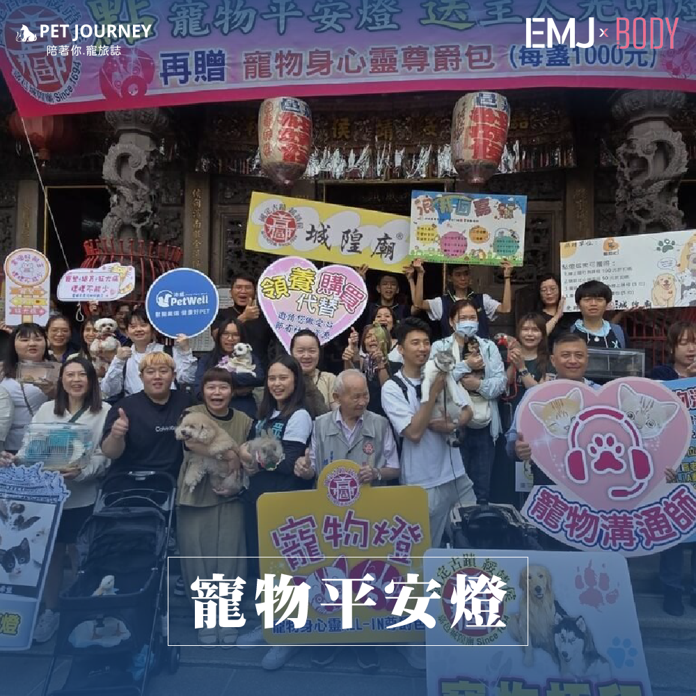 毛孩也可以點燈？不論是柴犬、喵星人、兔寶寶還是鸚鵡，一起來求個平安！今年加碼推出『寵物身心靈ALL IN尊爵包』，包括LED夜燈相框、寵物拓印泥和寵物行為溝通服務，讓毛小孩享有專屬祝福！城隍廟也不忘號召民眾「領養代替購買」，給更多毛孩子一個溫暖的家！」｜報導連結：https://www.cna.com.tw/news/aloc/202411050219.aspx