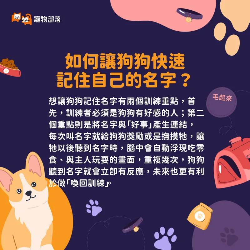 如何讓狗狗快速記住自己的名字？專家授「2訓練關鍵」主人一叫就有反應