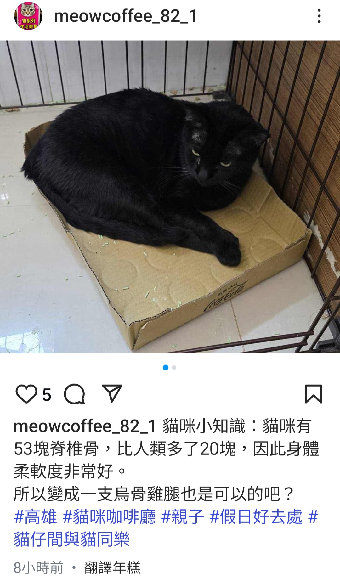 為什麼貓咪柔軟度這麼好？