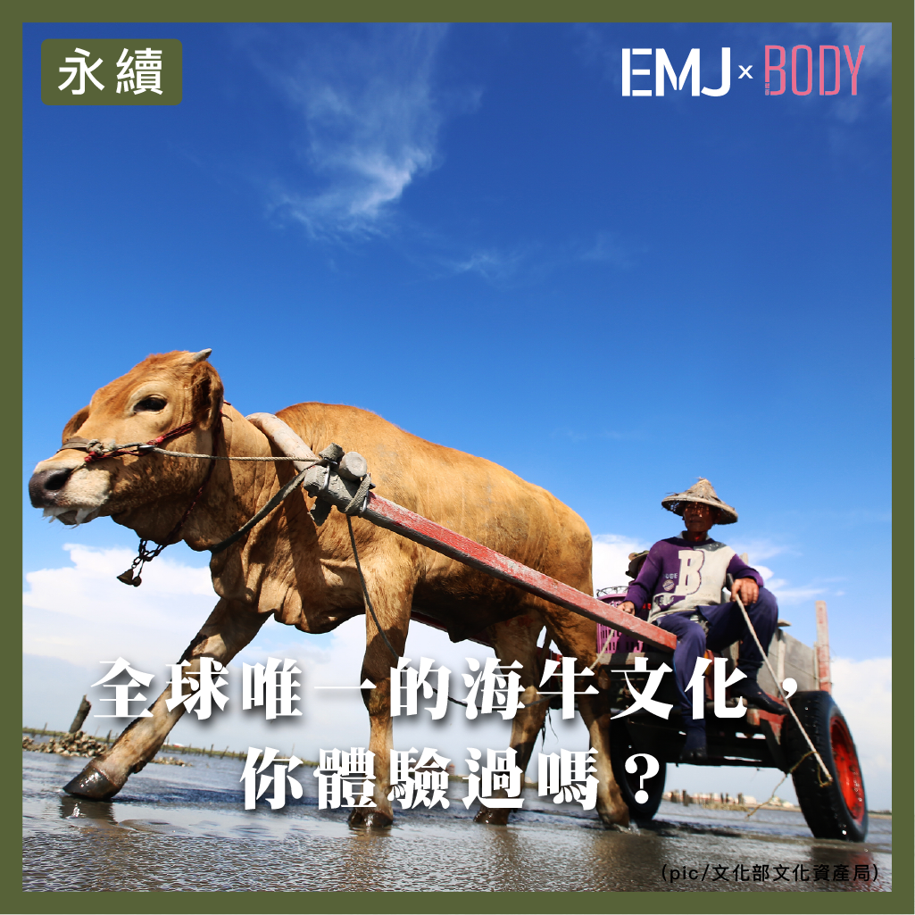🐂🌊 全球唯一的海牛文化，你體驗過嗎？在彰化芳苑的潮間帶上，海牛拖著三輪車踏入廣闊蚵田，搬運滿載的蚵仔回岸——這是全世界僅見的景象，也是台灣珍貴的無形文化資產。這項傳統漁法展現了先民與自然共生的智慧，2016 年被登錄為無形文化資產，更催生了 「國際海牛文化節」，讓台灣在地特色登上國際舞台。除了搭乘牛車，你還能體驗剝蚵、烤蚵、探索潮間帶濕地，感受自然與人文交織的漁村日常。📌 為