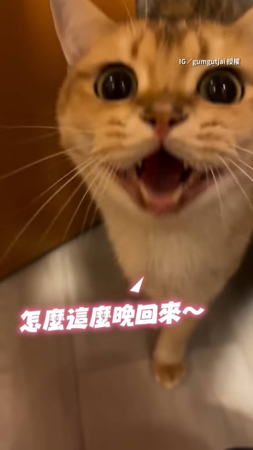 怎麼這麼晚回來