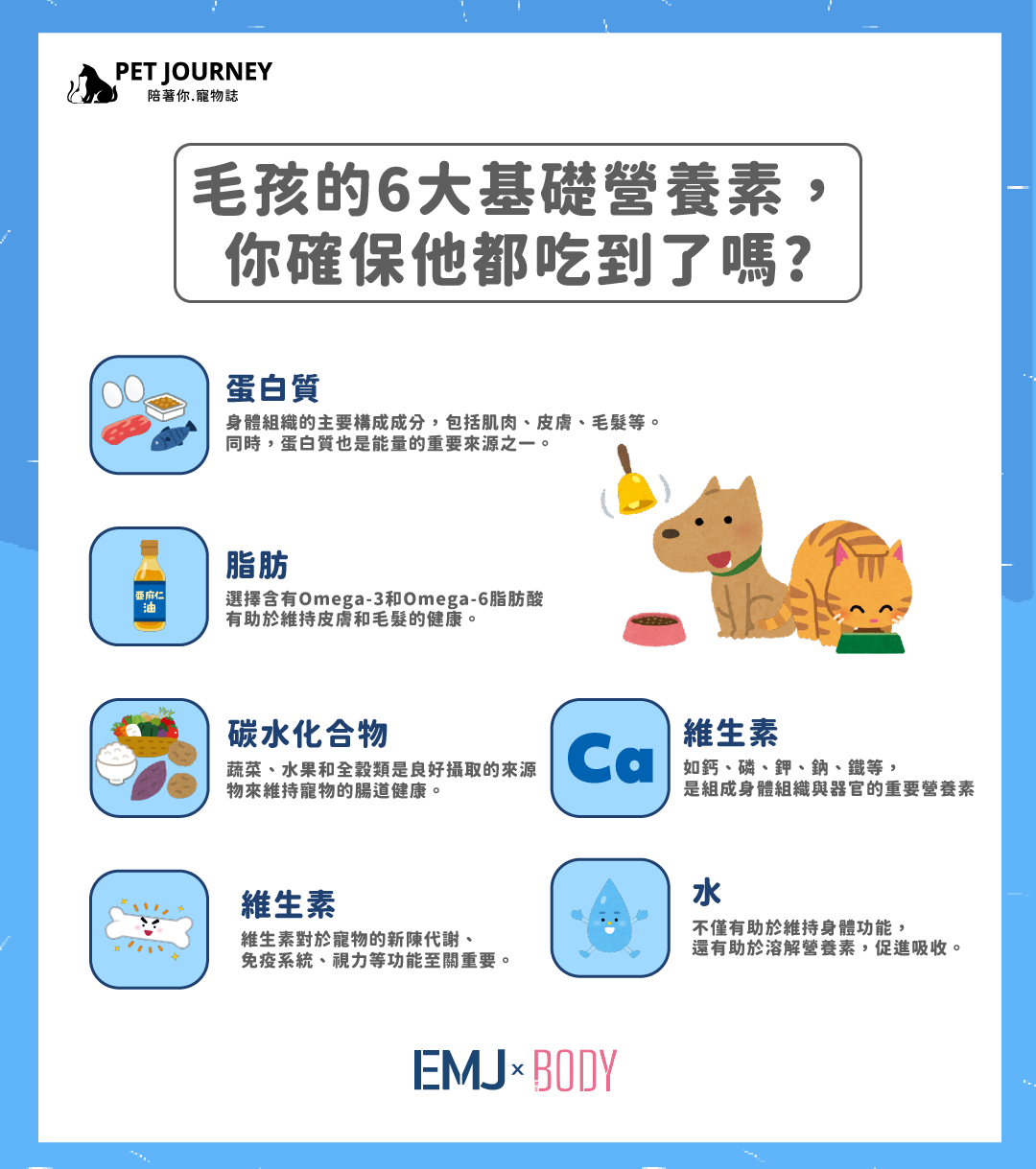 【毛孩的6大基礎營養素，你確保他都吃到了嗎?】