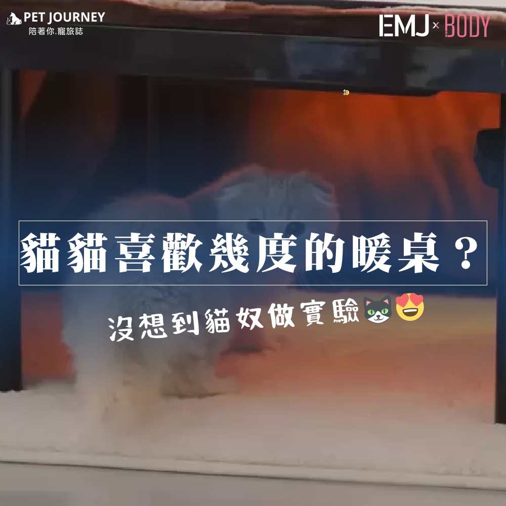 大家來猜猜看貓貓喜歡在幾度的暖桌窩著呢？（好期待冬天被貓貓當暖暖包）｜✨全文點我：https://news.gamme.com.tw/1767577