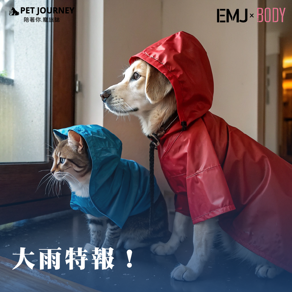 大雨特報！各位朋友出門要注意安全小心駕駛哦！｜高雄寵物用品展倒數1天｜日期：2025/04/11(五)-04/14(一)時間：10:00-18:00地點：高雄巨蛋（高雄市左營區博愛二路757號）