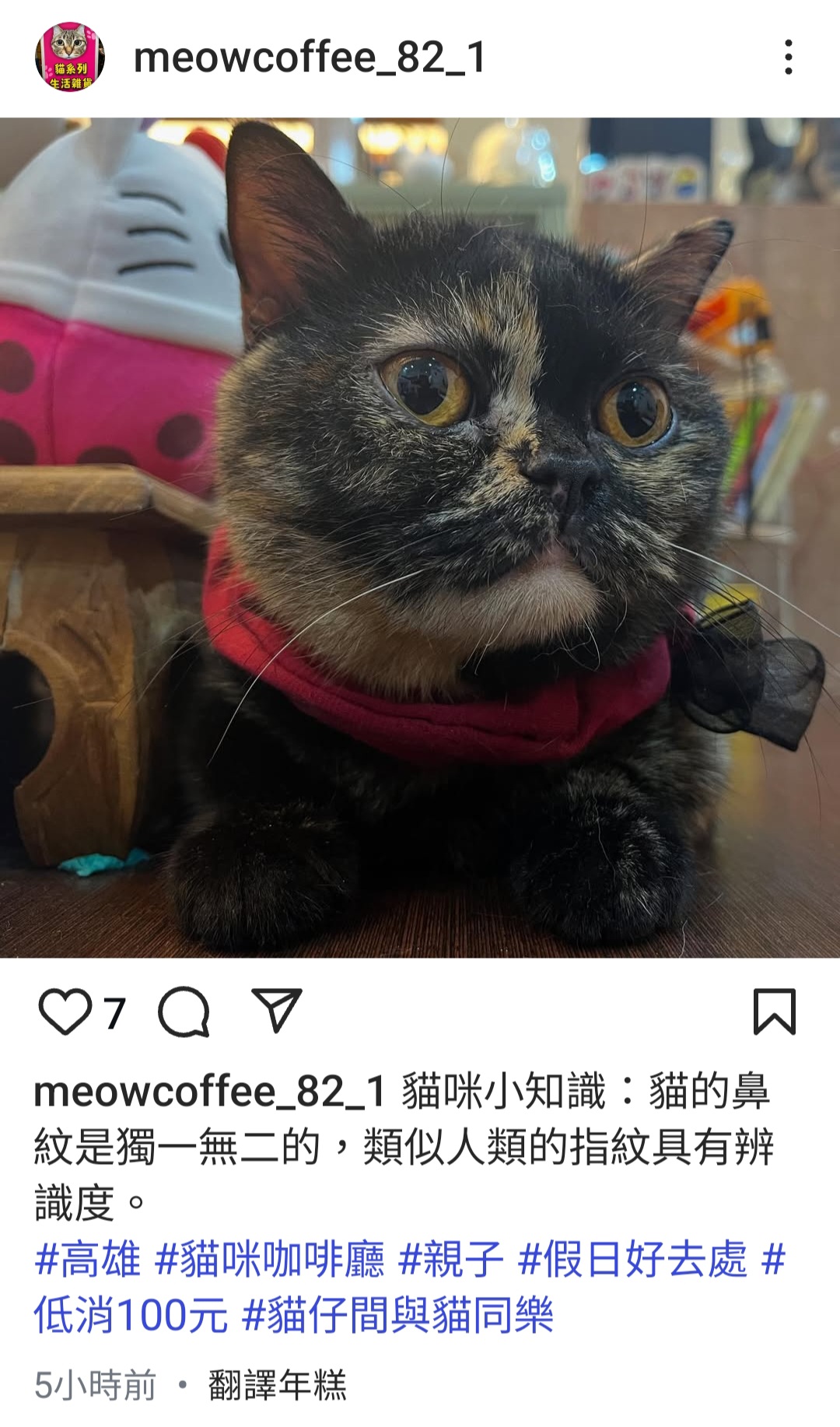 貓咪的鼻紋具有什麼功用？