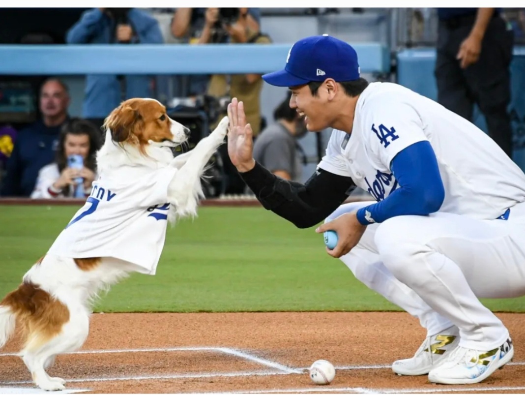 分享大谷翔平的經典畫面