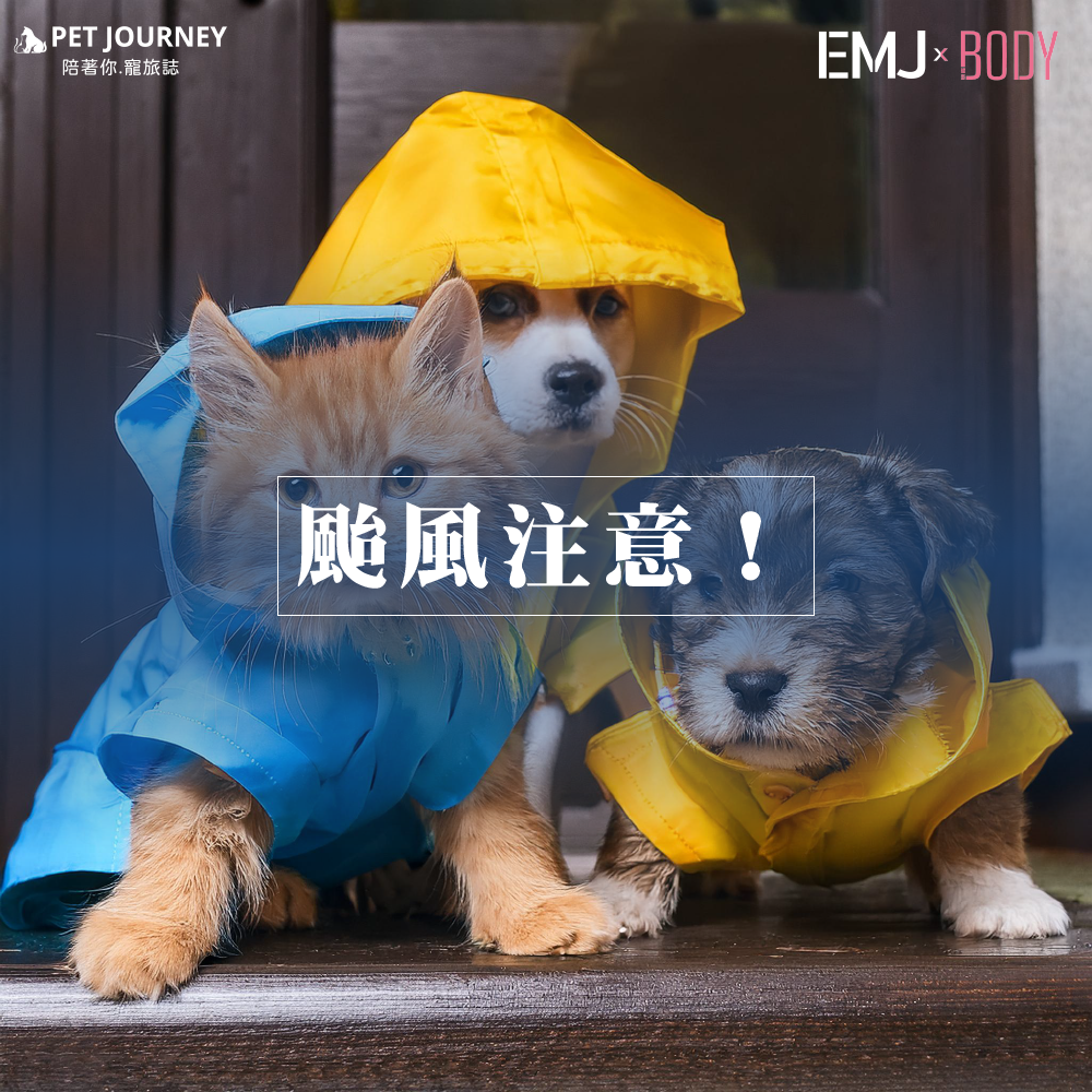 ⚠️強颱來襲⚠️各位朋友注意安全，避免不必要的外出，有外出也要多注意小心哦！也要多注意毛寶貝們的狀況！希望一切平安度過❤️！