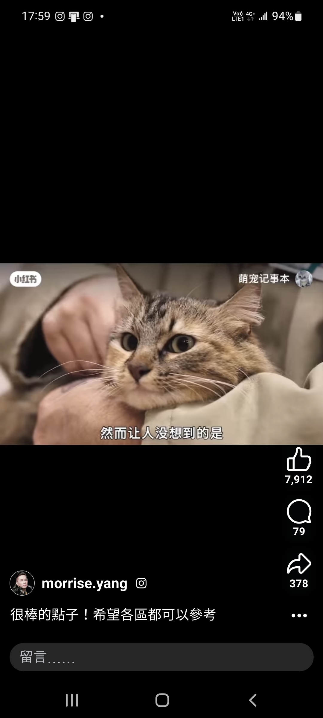貓咪坐牢~發生什麼事？