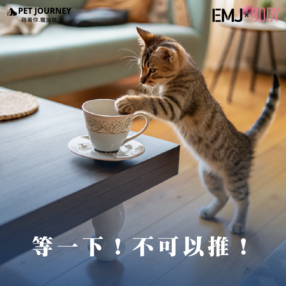 如果你是貓奴，肯定有過這樣的經歷——桌上的筆、杯蓋、鑰匙，甚至手機，總是無故被貓咪「神秘」地推下去。有時候，貓貓們甚至會一邊看著你，一邊故意用爪子輕輕一撥，然後欣賞東西墜落的樣子。這種讓人哭笑不得的行為，究竟是貓咪的惡作劇，還是藏著某種天生的本能呢？今天就來一起解密這個貓咪的小習性！一起來看看為什麼！https://bodynews.com.tw/news/article/71