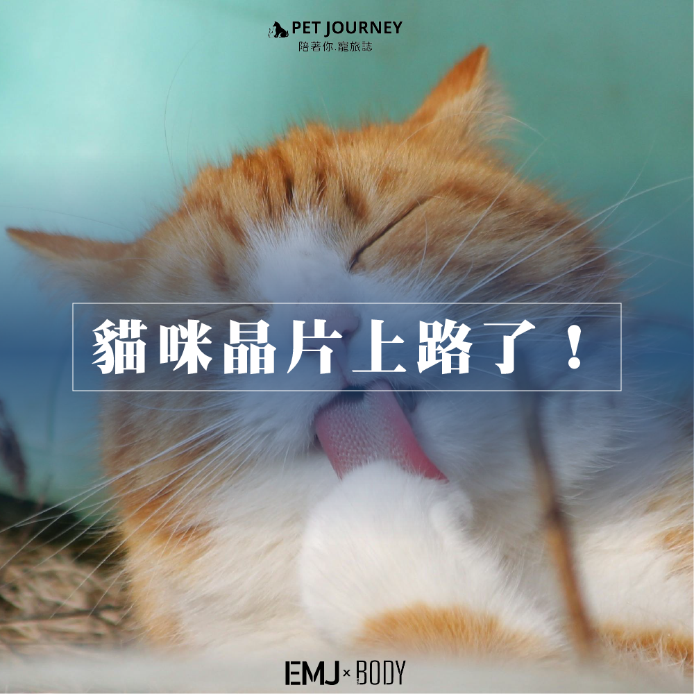 有養貓咪的爸爸媽媽們要注意嘍🐈🐈❗️