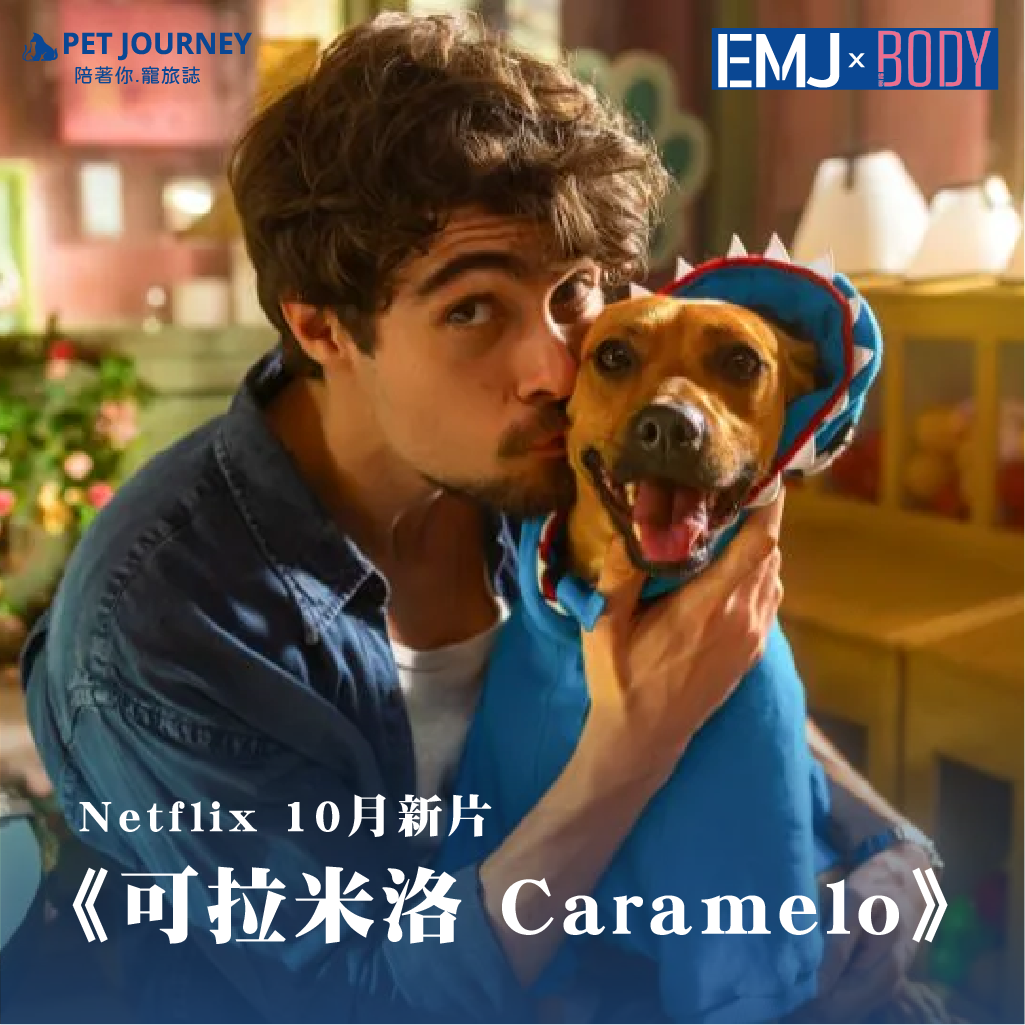 你也喜歡那種「看完會一直抱緊毛孩」的電影嗎？🥹💛這部來自巴西的暖心新作《可拉米洛（Caramelo）最近悄悄上架 Netflix，講的是一位年輕廚師 Pedro，正努力追夢、籌備開店，卻在命運給他重擊的時刻，遇見了一隻毛色焦糖、眼神溫柔的流浪狗——Amendoim。牠不只是陪伴，更像一股推動他重新站起來的力量。在生活失序的混亂裡，是這隻狗讓他重新找到「想繼續活下去的理由」。🍯 