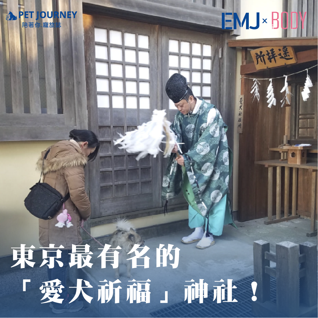 想帶毛孩一起到日本祈福？👉點我觀看：https://bodynews.com.tw/news/article/10040位於東京都青梅市的「武藏御嶽神社」被視為關東地區最靈驗的愛犬守護神社，提供狗狗專屬祈禱、愛犬御守、犬形代、健康長壽祈願等服務。本文帶你一次了解祈福流程、御守種類、交通方式與注意事項，是毛爸毛媽必收藏的日本寵物聖地。