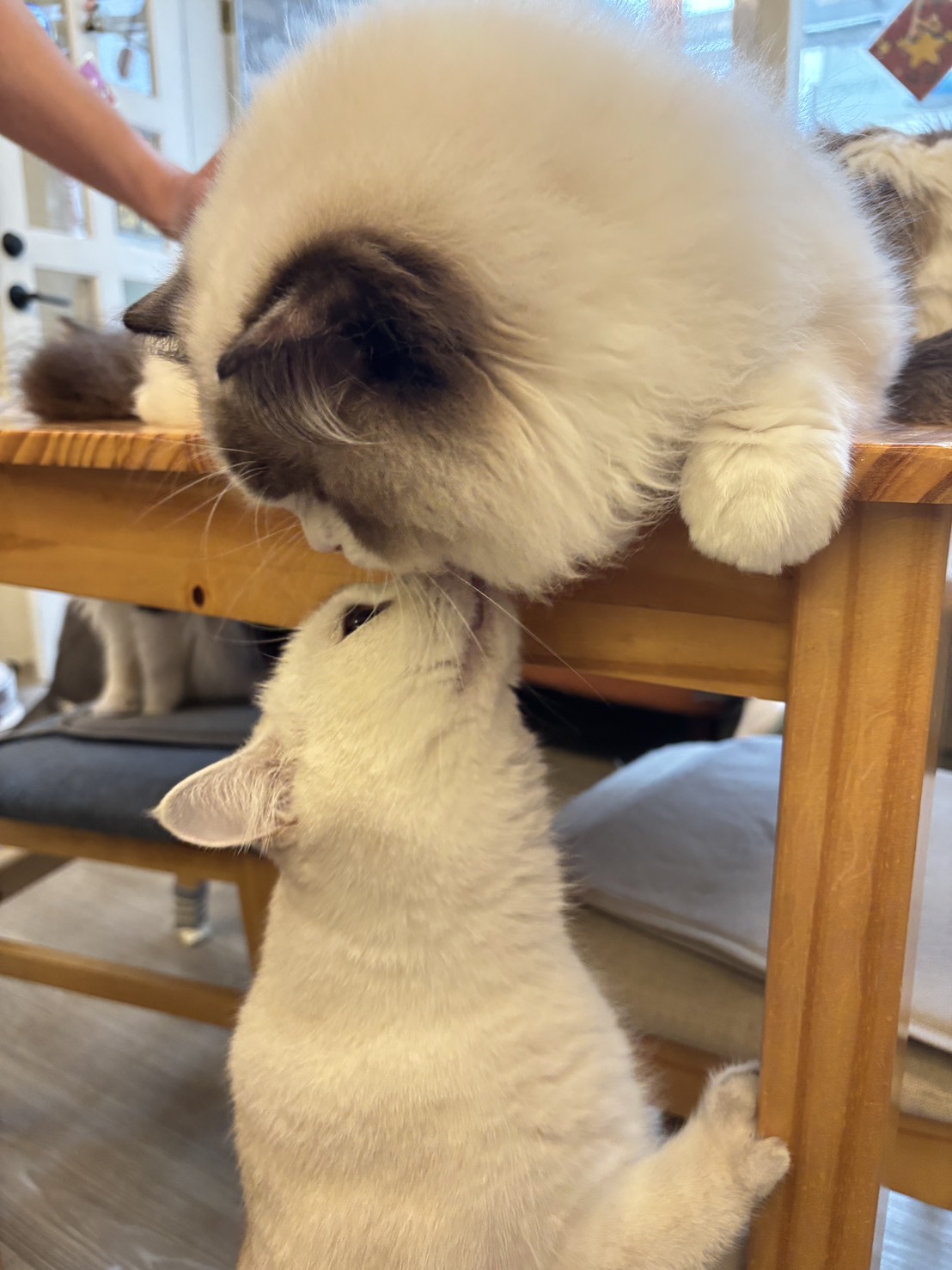 親親嘴