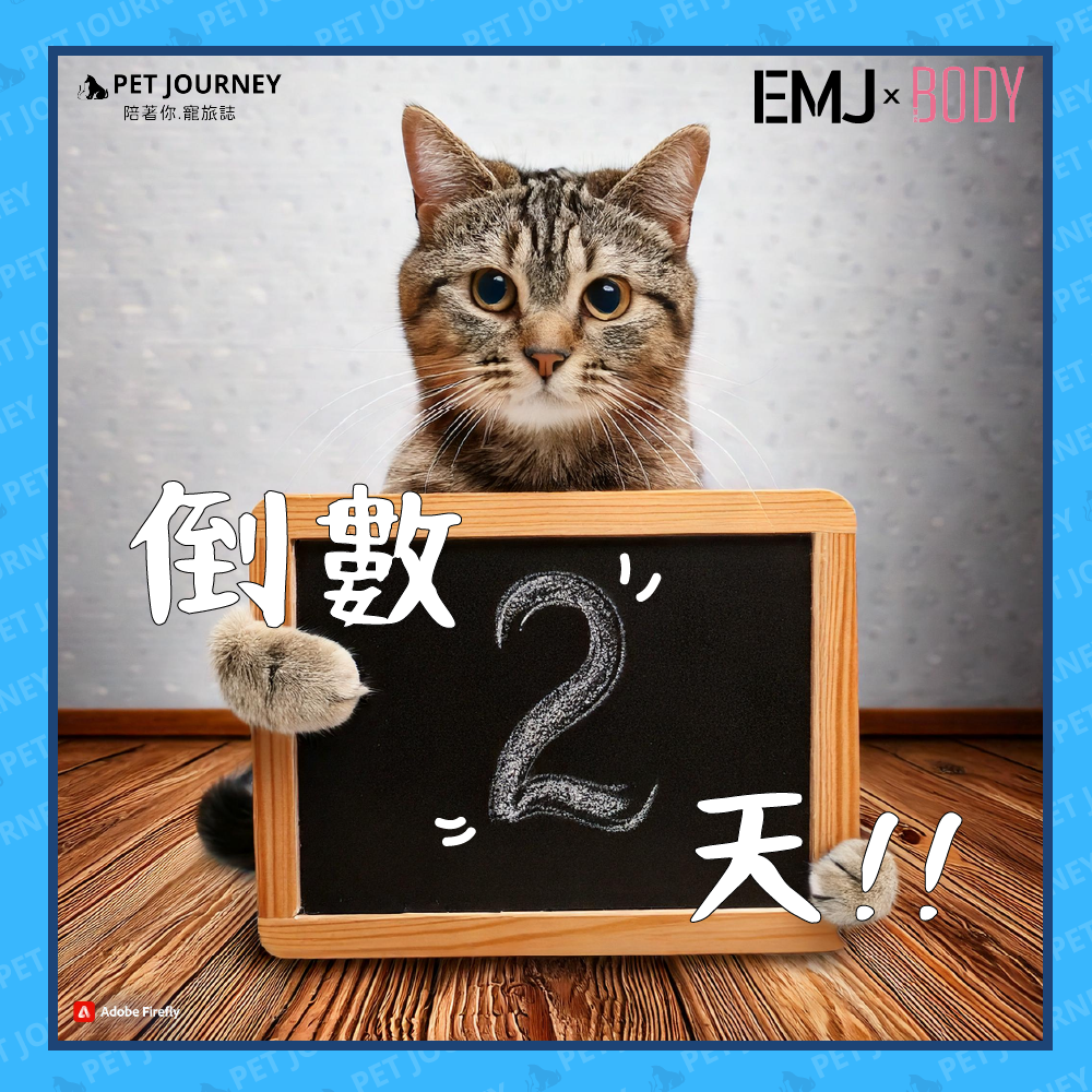 倒數「2天」🤩❗️還沒領免費票卷的朋友趕快點連結嶺取哦！！🔗點我免費入場卷：https://bodynews.com.tw/bulletin-board/item/6951