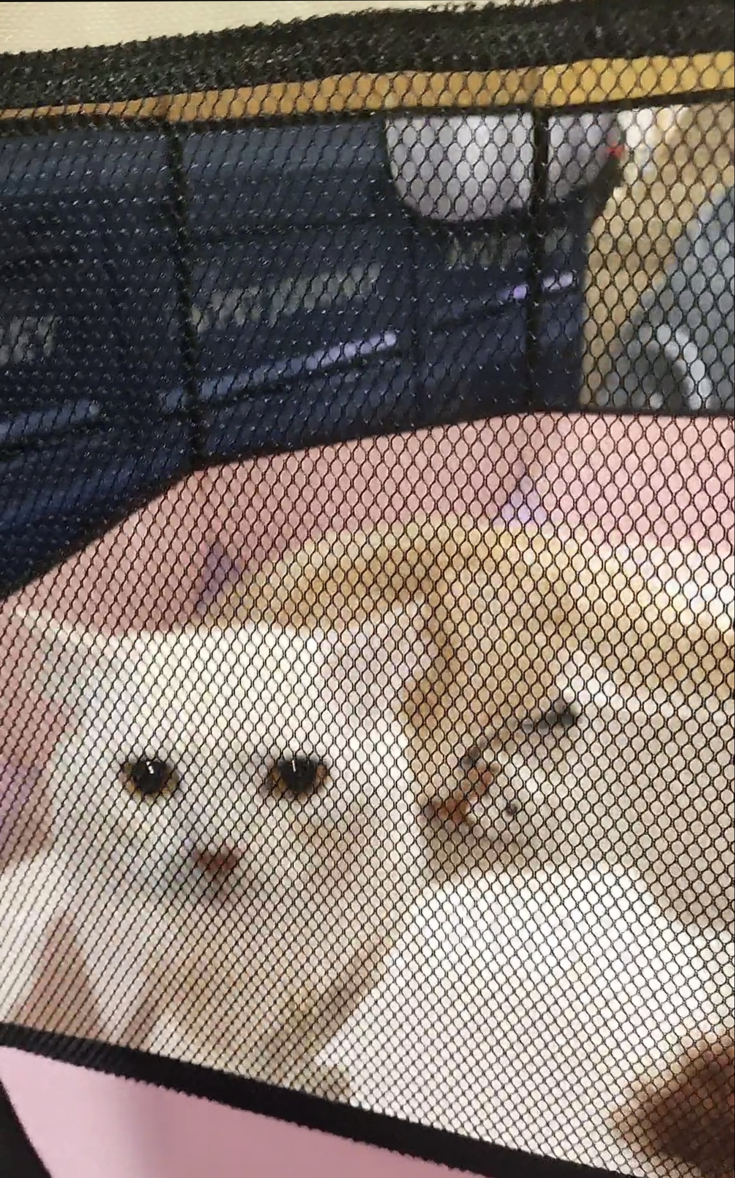 可以確定電子洨勞糬不是我發情的對象😔😔😔😔