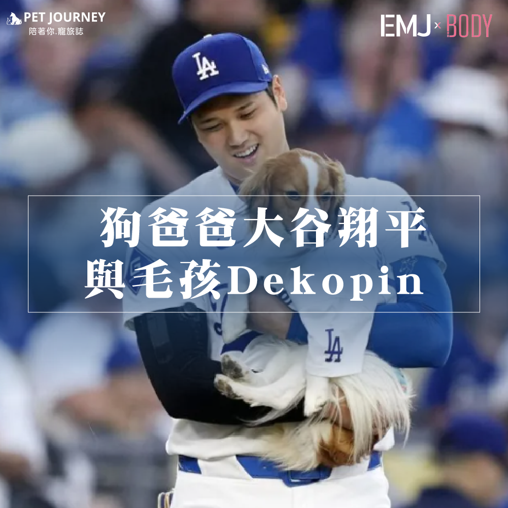 ✨這場比賽的焦點不只是大谷翔平的驚人球技，還有他愛犬Dekopin的超萌魅力！✨比賽前，大谷不僅和球迷分享了限量版搖頭娃娃，還帶著Dekopin一起登場，成為開球嘉賓。✨當Dekopin咬著棒球直奔本壘，並用後腳站立與大谷擊掌時，瞬間萌翻全場，讓觀眾笑聲不斷。✨賽後大谷開心地表示，雖然開球讓他有點緊張，但Dekopin表現得非常出色，這三個星期的練習完全值得。✨有了Dekopi