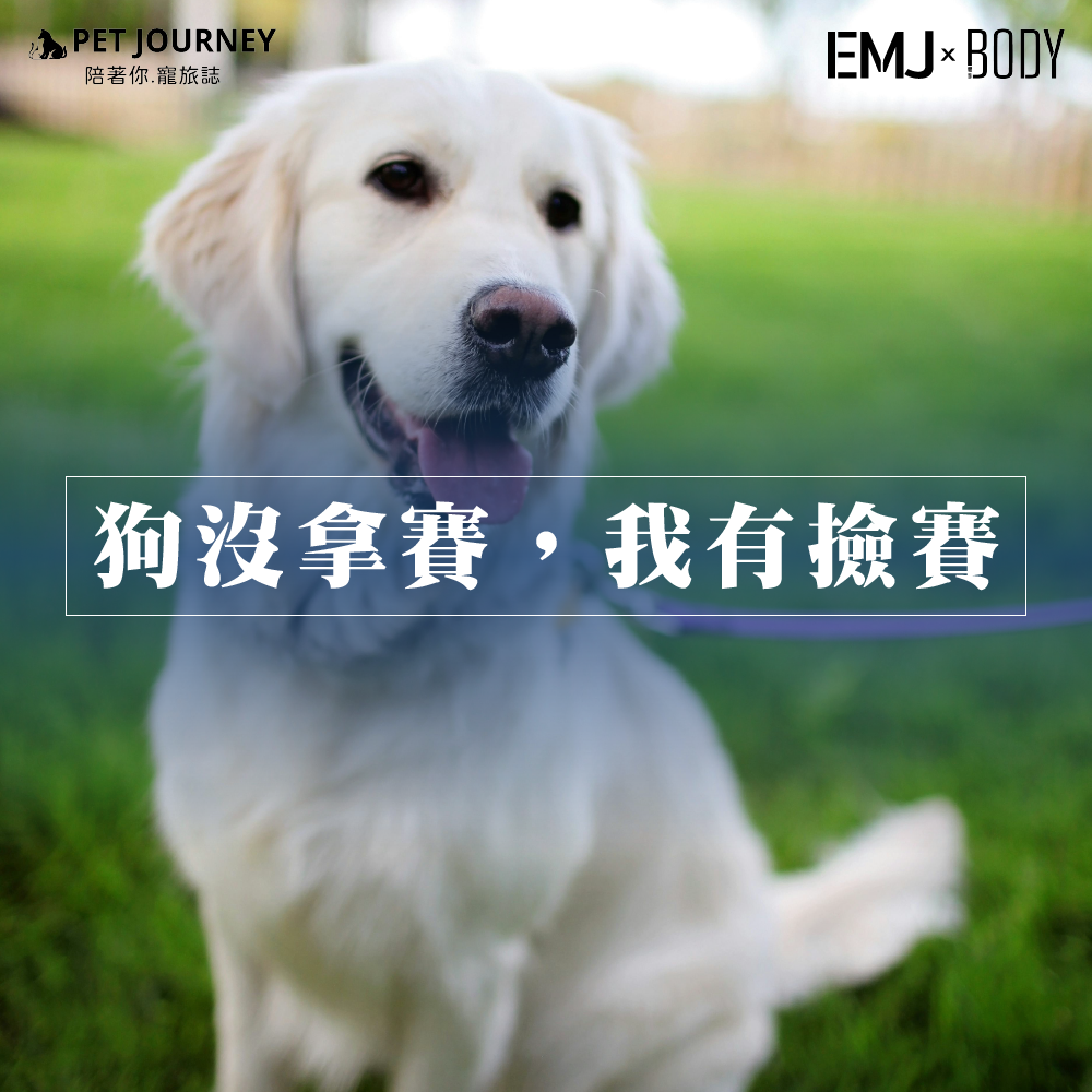 狗狗沒拿賽，但我們一定要撿賽！不然踩到就不只臭氣熏天，還會讓『黃金』變『罰金』！嘉義縣環保局提醒飼主，沒撿犬便恐被開罰，守護環境從自己做起，讓大家一起維持宜居生活！｜點我看全文：https://udn.com/news/story/7326/8341227
