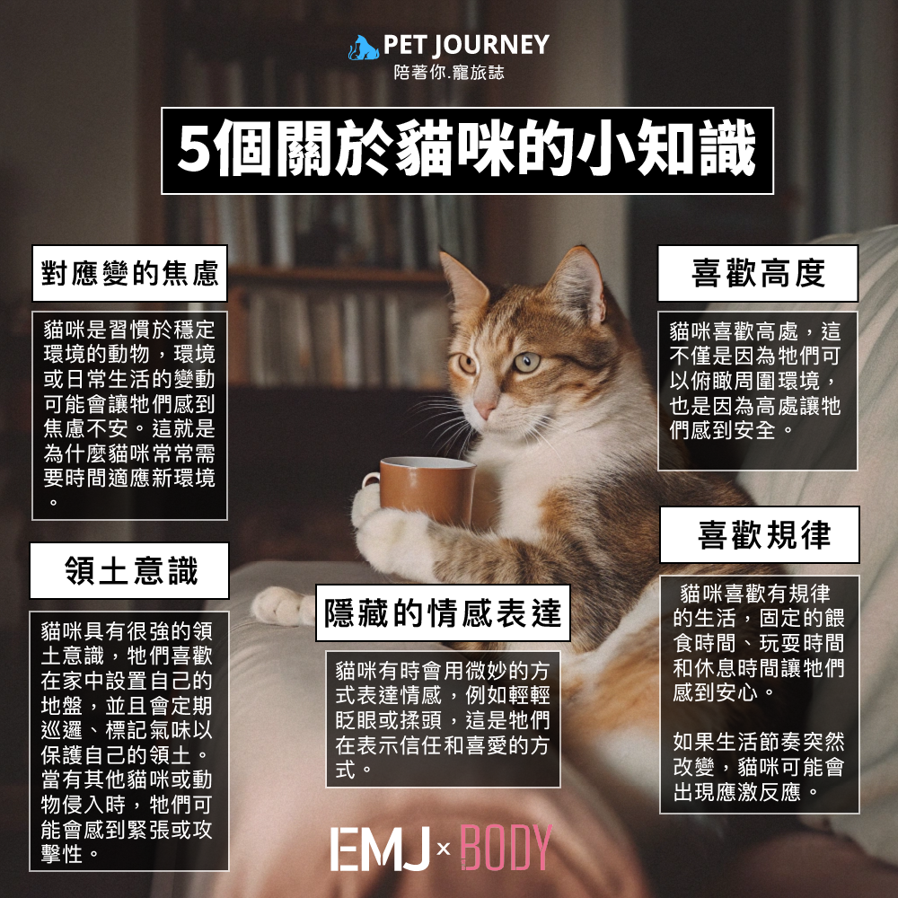 🐱關於貓貓的五個小知識🐱