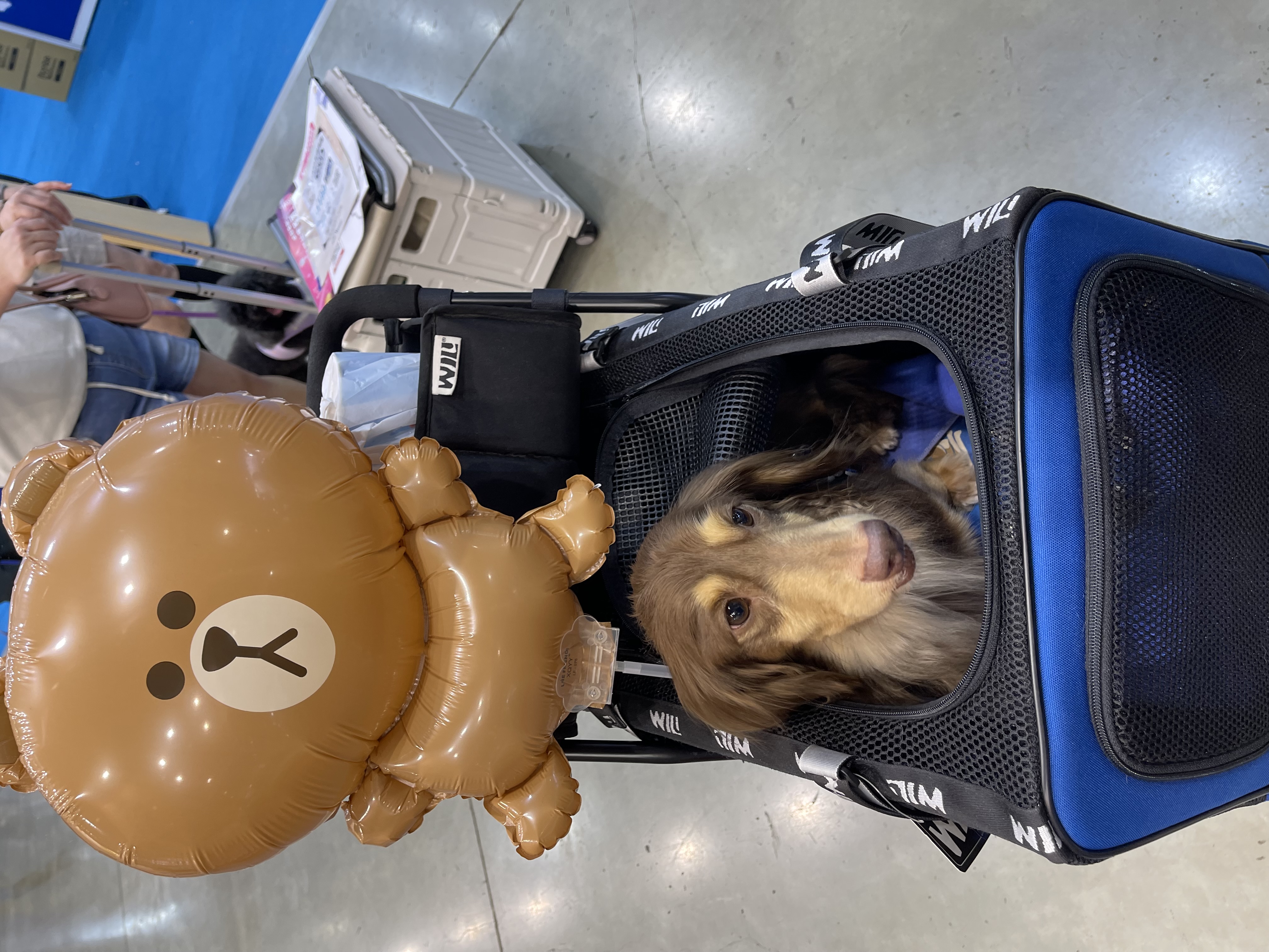 可愛😎熊熊🐻