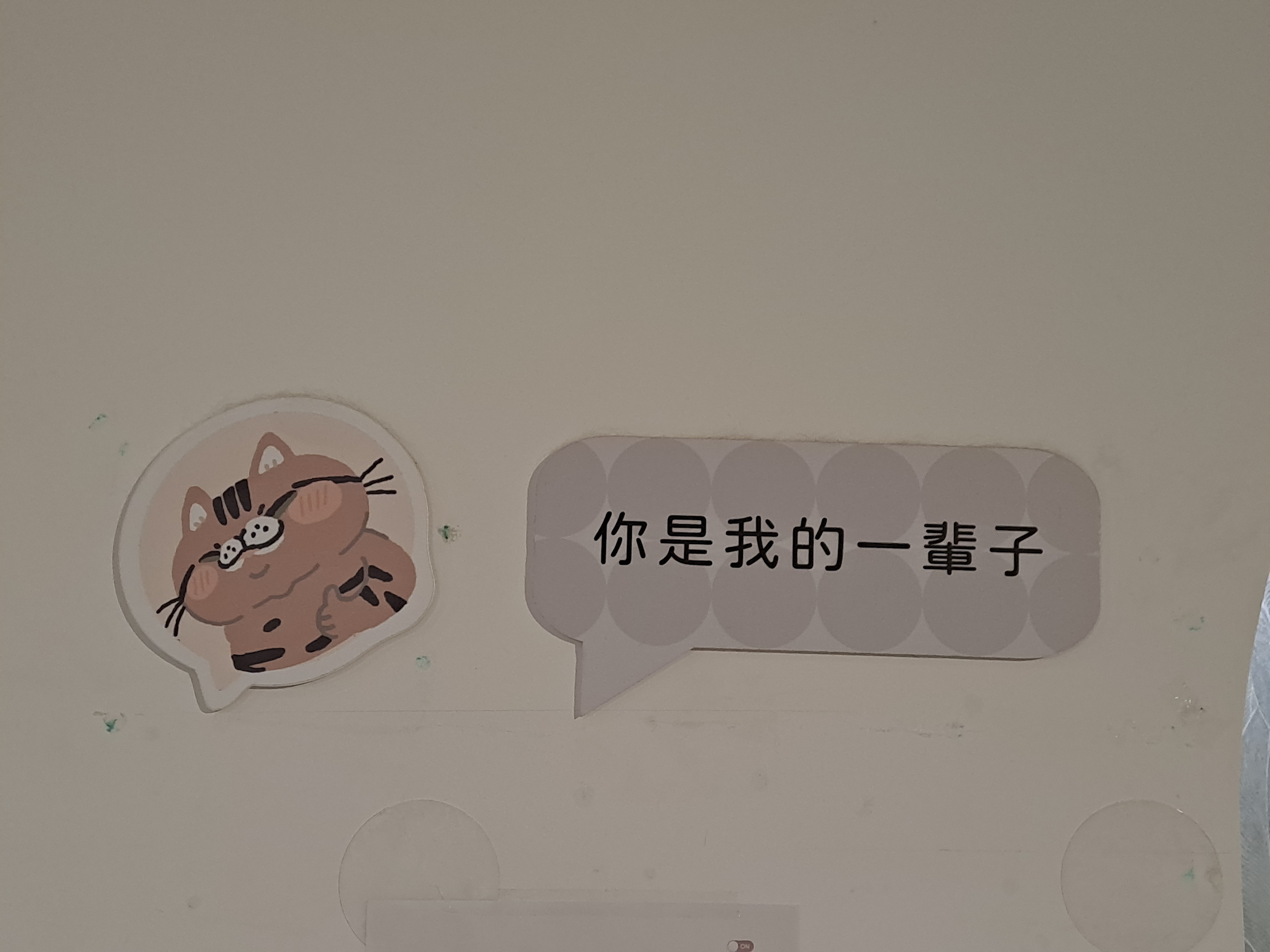 喵喵說：你是我的一輩子。