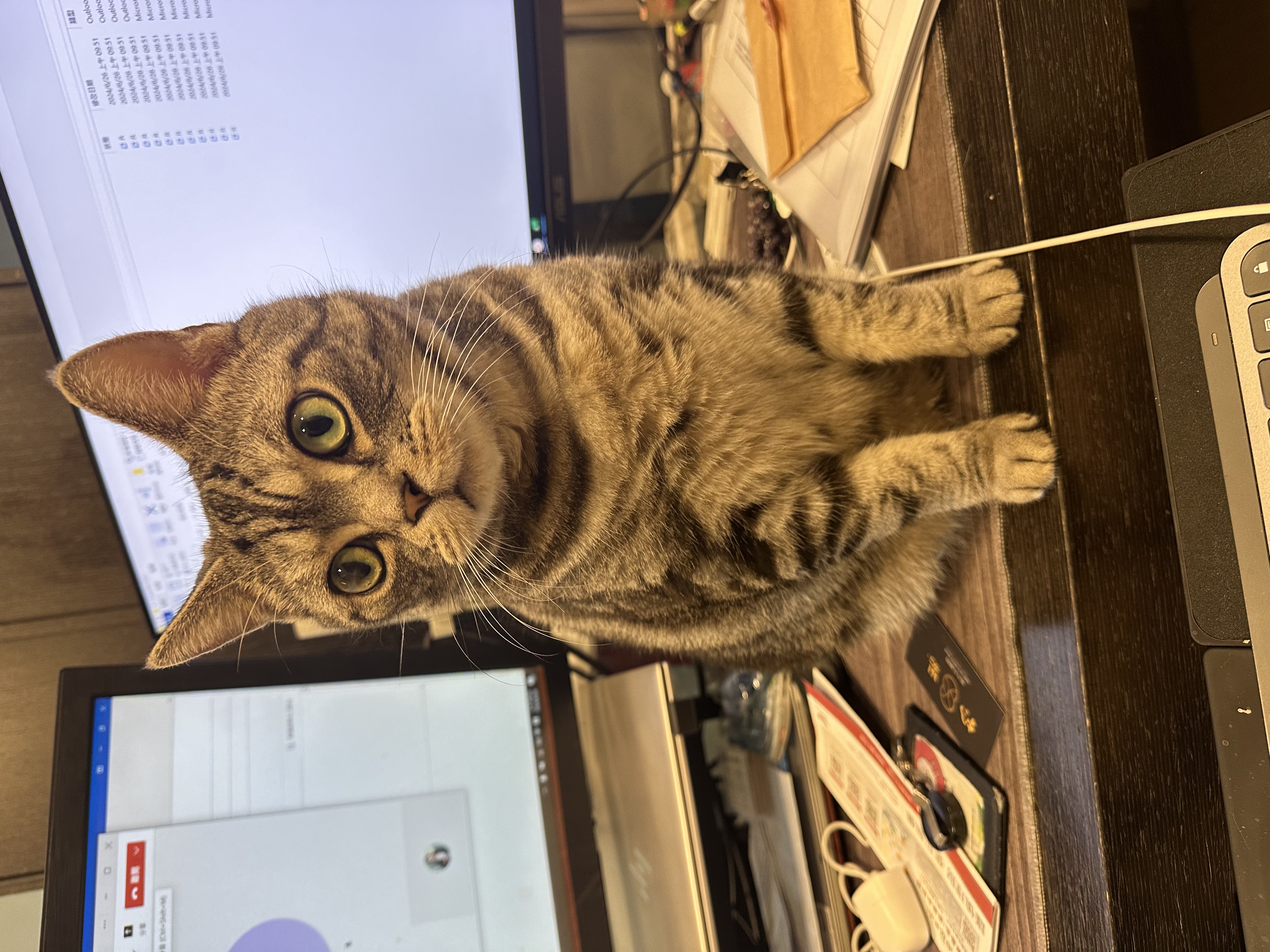 可愛