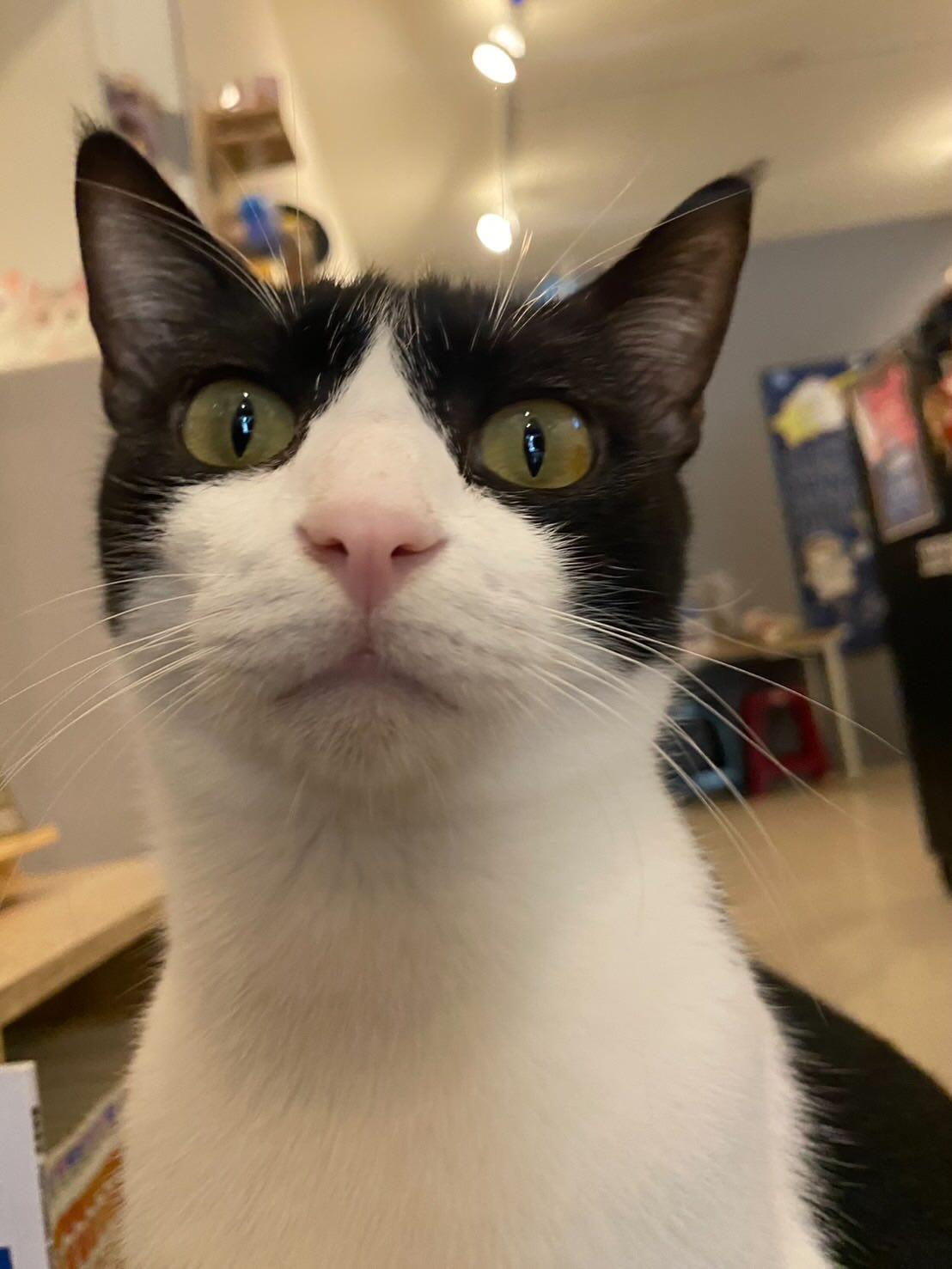 喔喔…怎麼了？