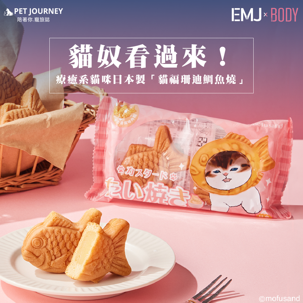 ✨日本插畫 IP「貓福珊迪 MOFUSAND」療癒系外表擄獲許多貓奴的心🤩！