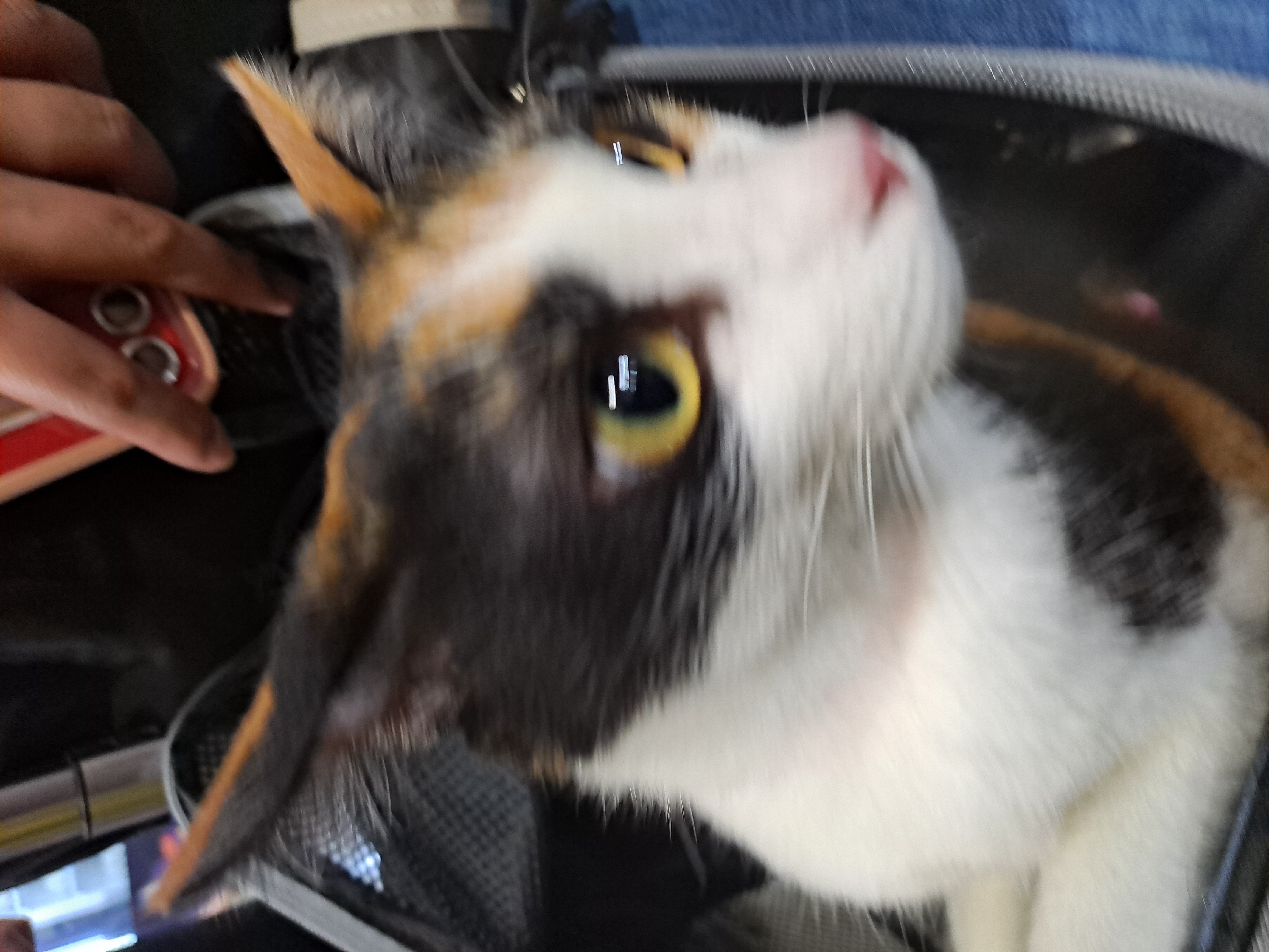 在家不好嗎？一定要出門喔