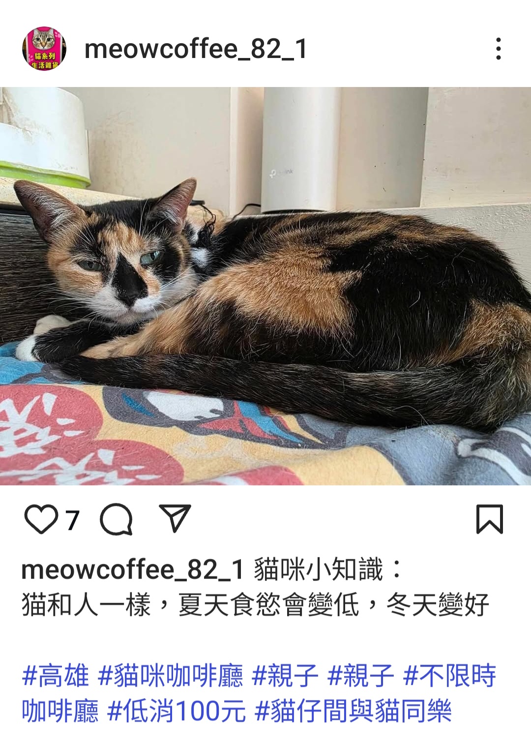 食慾好不好，因天氣冷或熱存有差別。高雄前金區青年二路82號之1。貓仔間（與貓同樂）