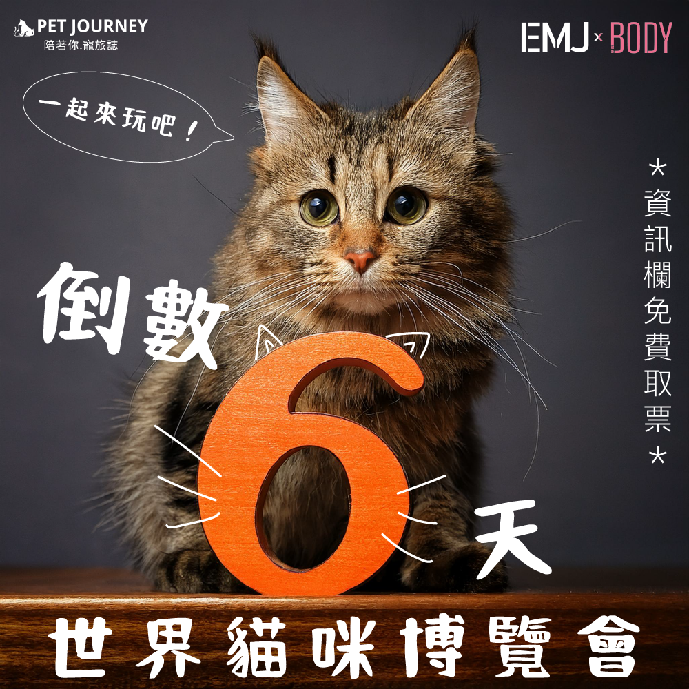 毛孩家長們取票了嗎🤩？～趕快點以下連結免費取票哦！快傳給朋友一起來玩！✨https://reurl.cc/nvynke🎁當天到PetJourney攤位可以獲得精美小禮物哦🎁📌世界貓咪博覽會📌✨地點：台北南港展覽館一館✨活動期間：2024/10/04(五)～2024/10/07(ㄧ)✨攤位代號：A16(喵廣場｜入口進來直走)