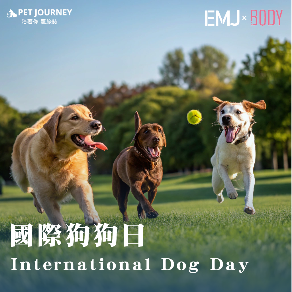 你知道今天是什麼日子嗎？💡 國際狗狗日（International Dog Day）是由動物救援倡議者 Colleen Paige 在 2004年 創立，目的就是希望喚起大眾對狗狗的重視，無論是陪伴我們的家犬、辛勤工作的導盲犬、搜救犬，甚至還在收容所等待家的毛孩們，都應該被理解、被尊重、被好好對待。✨ 這一天想傳遞的價值：1.鼓勵大眾領養代替購買，給浪浪一個溫暖的家 🏠。2.提