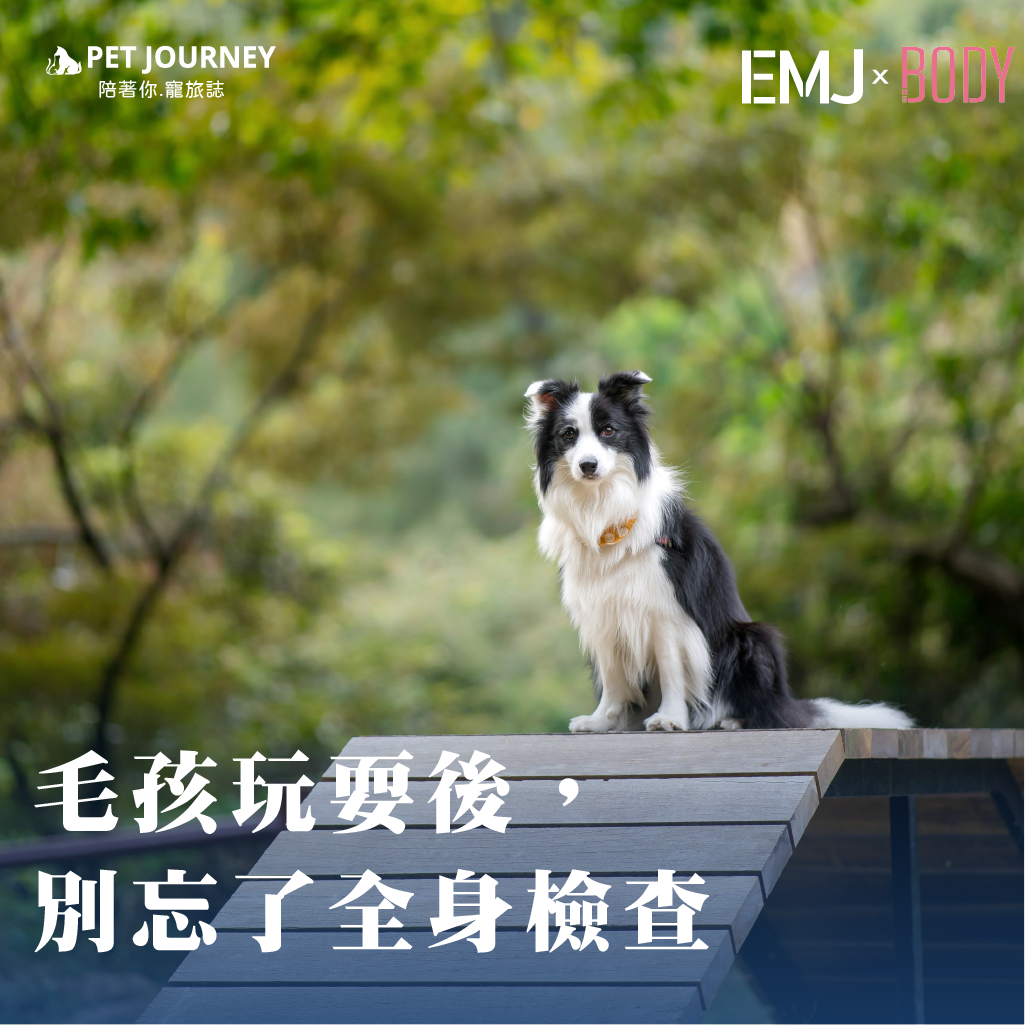 帶毛孩上山放風很療癒，但回家後別忘了還有「隱形的小客人」可能跟著下山喔！🪲 草叢、落葉堆、溪邊，都可能藏著小蟲子或壁蝨，如果不注意，毛孩回家後可能會出現搔癢、皮膚紅腫，甚至帶來疾病風險。✨ 戶外遊玩後必做檢查：1️⃣ 全身撥毛檢查 —— 耳朵、腋下、腳縫、尾巴根部都是藏身熱點2️⃣ 用梳子或濕毛巾輕刷毛髮，減少灰塵與小蟲殘留3️⃣ 若發現疑似壁蝨，別硬拉！建議用專用工具取出或立