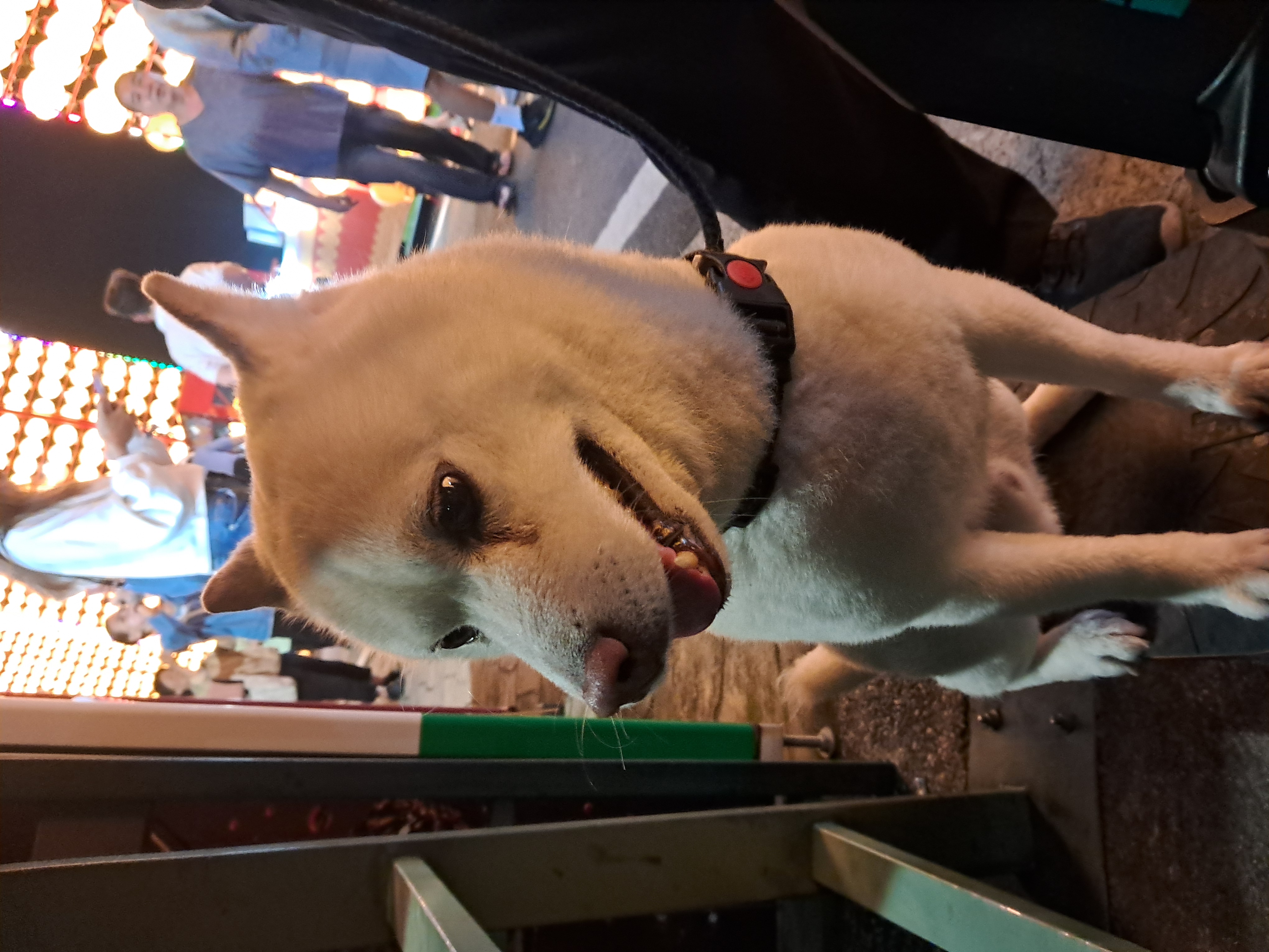 坐車