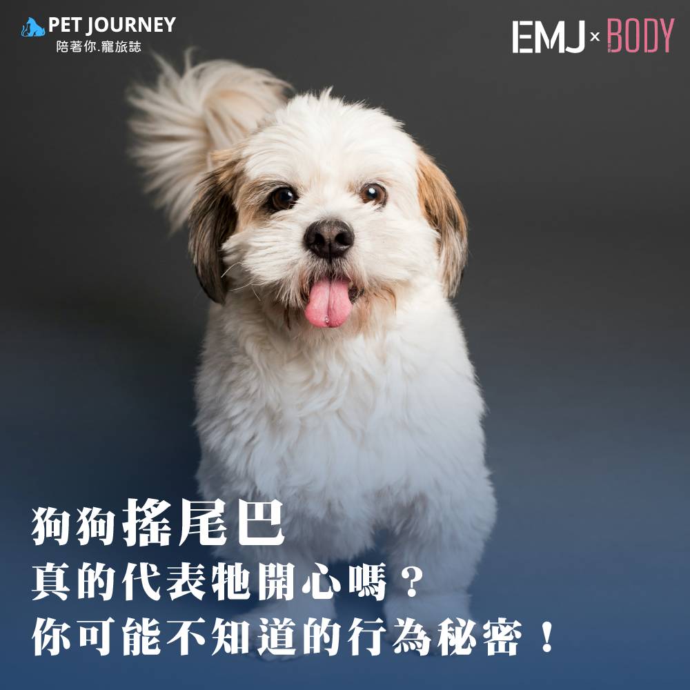 🐾 狗狗搖尾巴真的代表牠開心嗎？你可能不知道的行為秘密！🐾 當我們看到狗狗搖著尾巴時，第一個反應通常是：「牠好開心！」但事實上，狗狗搖尾巴並不總是代表喜悅，它其實是狗狗表達情緒的重要方式之一。透過解讀搖尾巴的角度、速度以及狀態，我們可以更好地了解狗狗的心情和意圖。⭐️1. 搖尾巴的角度：高低之間的情緒密碼狗狗尾巴的位置可以透露出牠的心情：* 高舉尾巴：通常表示興奮、自信或警戒。