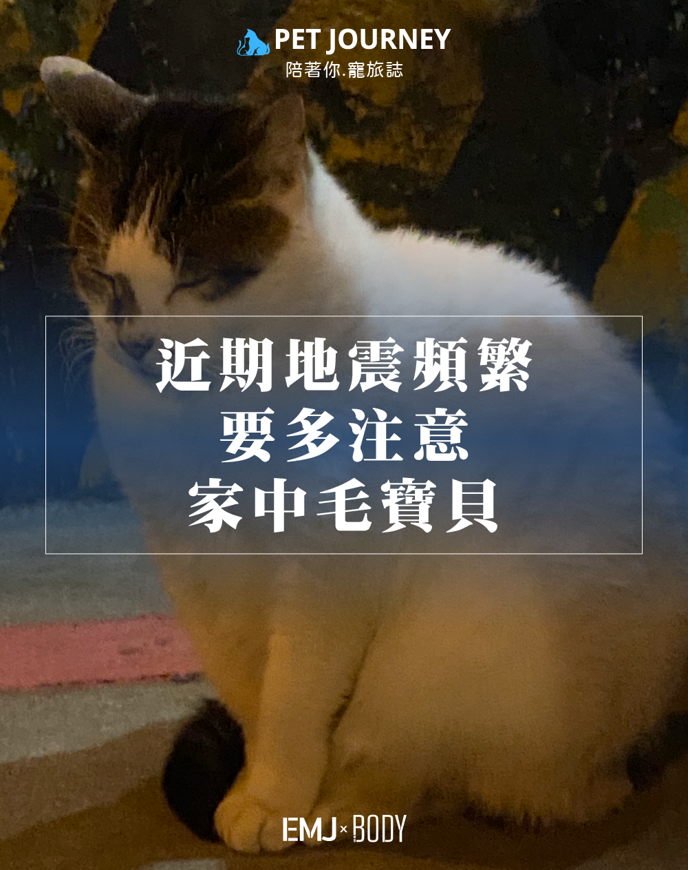 最近又開始地震啦😵‍💫❗️
