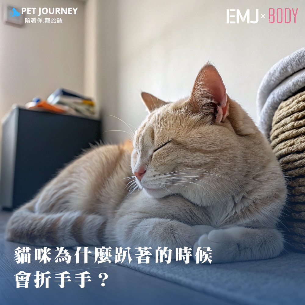 🐱 貓咪為什麼趴著的時候會折手手？—「貓咪麵包」的秘密！🍞家裡有貓貓的家長們也許偶爾會看到貓咪趴著時，前腳折起來，像是把小手手「收進去」一樣，整體看起來就像一塊熱騰騰的麵包，超級可愛！😻 這種姿勢也被許多貓奴稱為「貓咪麵包」（cat loaf）。那麼，為什麼貓咪會這樣折手手呢？是習慣？還是有特殊的原因？今天就來揭開這個貓咪行為的神秘面紗吧！🐾 貓咪折手手的原因1️⃣ 感到安全、