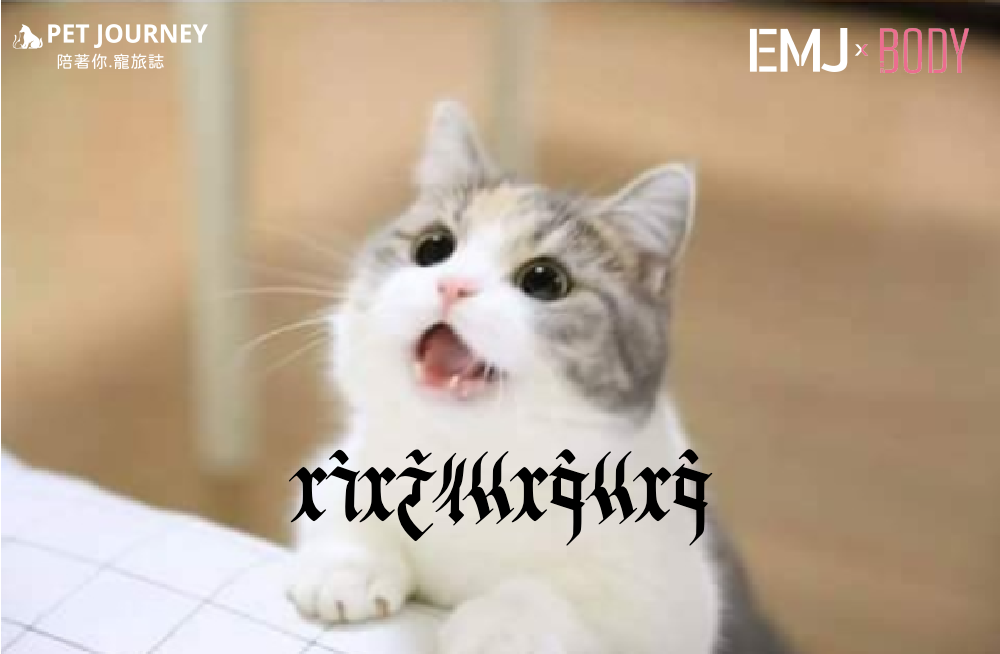 最近Justfont字體團隊推出的「精靈語」大家玩過了嗎？聽說只有台灣人看得懂哦！快來猜猜這一句話寫什麼🤔🤣也可以點連結一起來玩哦🤩！https://justfont.com/justforfun/elf-bpmf