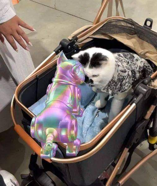 用WebXR混合實境。試試看玩虛實整合。