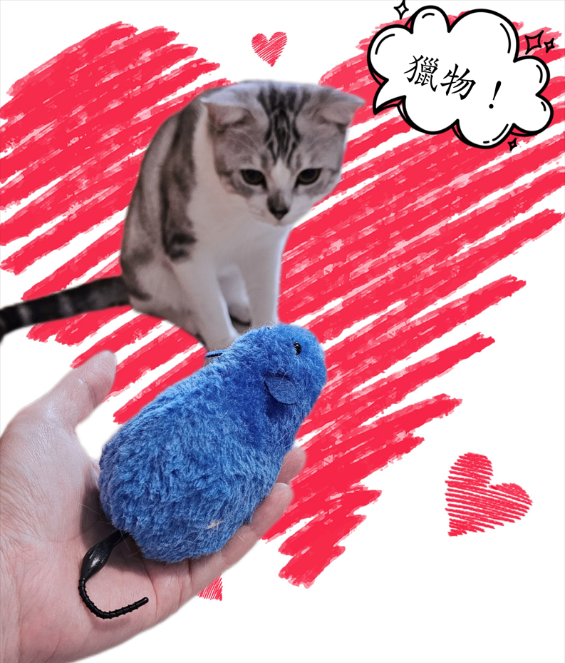 墨墨:我眼中的獵物❤#貓鼠與你