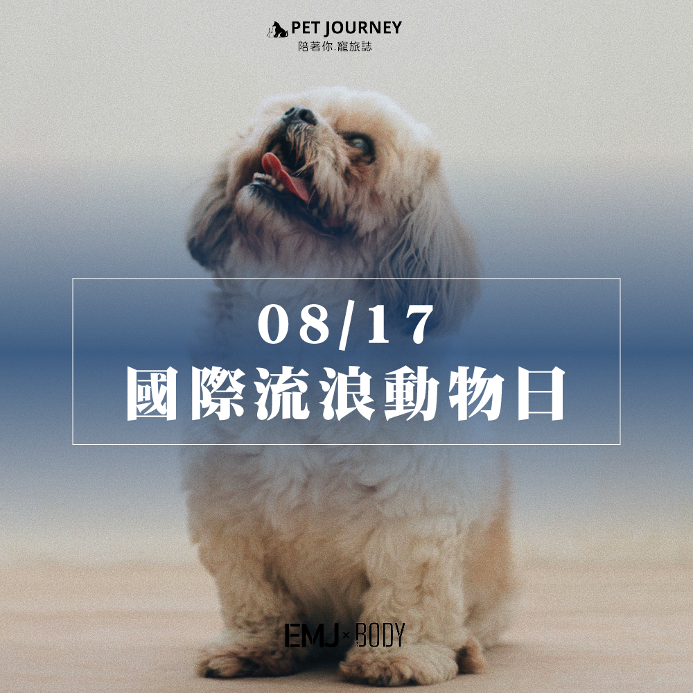 ✨每年8月的第3個週六為「國際流浪動物日」，此日於1992年由國際動物權組織（ISAR）訂定，為了提醒世人對流浪動物的關注，呼籲由絕育及認養等方式終結流浪動物飢寒交迫流浪在外的生活。