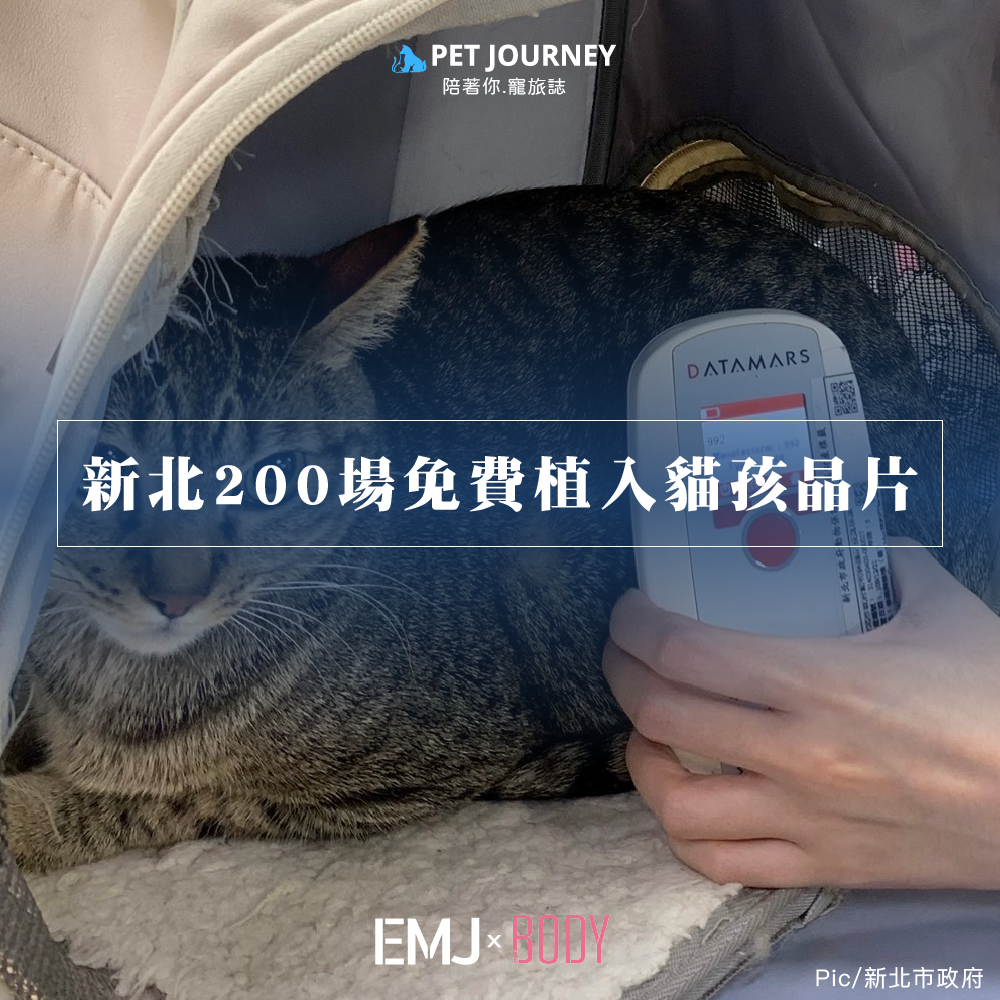 從114年1月1日開始，農業部規定貓咪也正式列入必須辦理登記的寵物範疇，飼主有一整年的緩衝期。但要提醒大家，如果沒幫貓咪植入晶片並完成登記，將面臨3000元到1萬5000元的罰鍰！ 😱為了讓大家更方便完成登記，新北市政府動保處宣布，114年將舉辦超過200場免費活動，內容包含：✅ 免費晶片植入✅ 寵物登記✅ 狂犬病疫苗注射特別的是，認養貓咪的朋友還能獲贈寵物大禮包，為毛孩準備一