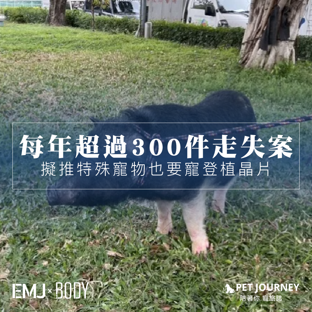 近年來，飼養鸚鵡、烏龜、兔子、蛇等特殊寵物的風潮興起，但隨之而來的是走失案件的頻傳😭。動保處提醒飼主，這些小寶貝們不像狗狗、貓咪那麼容易辨認身分，建議幫牠們植入晶片，讓找回牠們的機會更大！｜相關報導連結：https://udn.com/news/story/7323/8295358