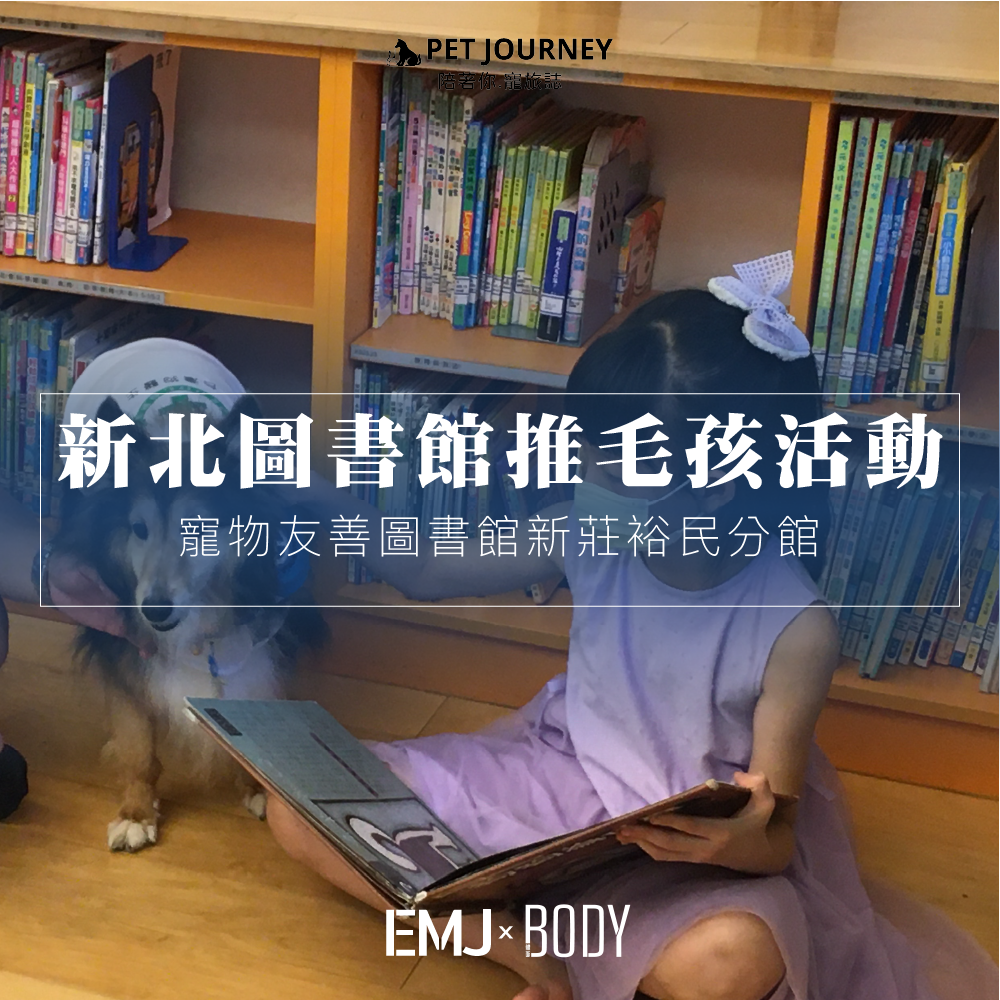 新北市唯一的寵物友善圖書館——新莊裕民分館推出了「毛孩閱讀活動」，與「台灣狗醫生協會」合作，邀請經過專業訓練的狗狗陪伴孩子一起閱讀。此外，圖書館還規劃了動物主題桌遊和書展等活動，讓孩子在閱讀中學習如何與動物友善相處。